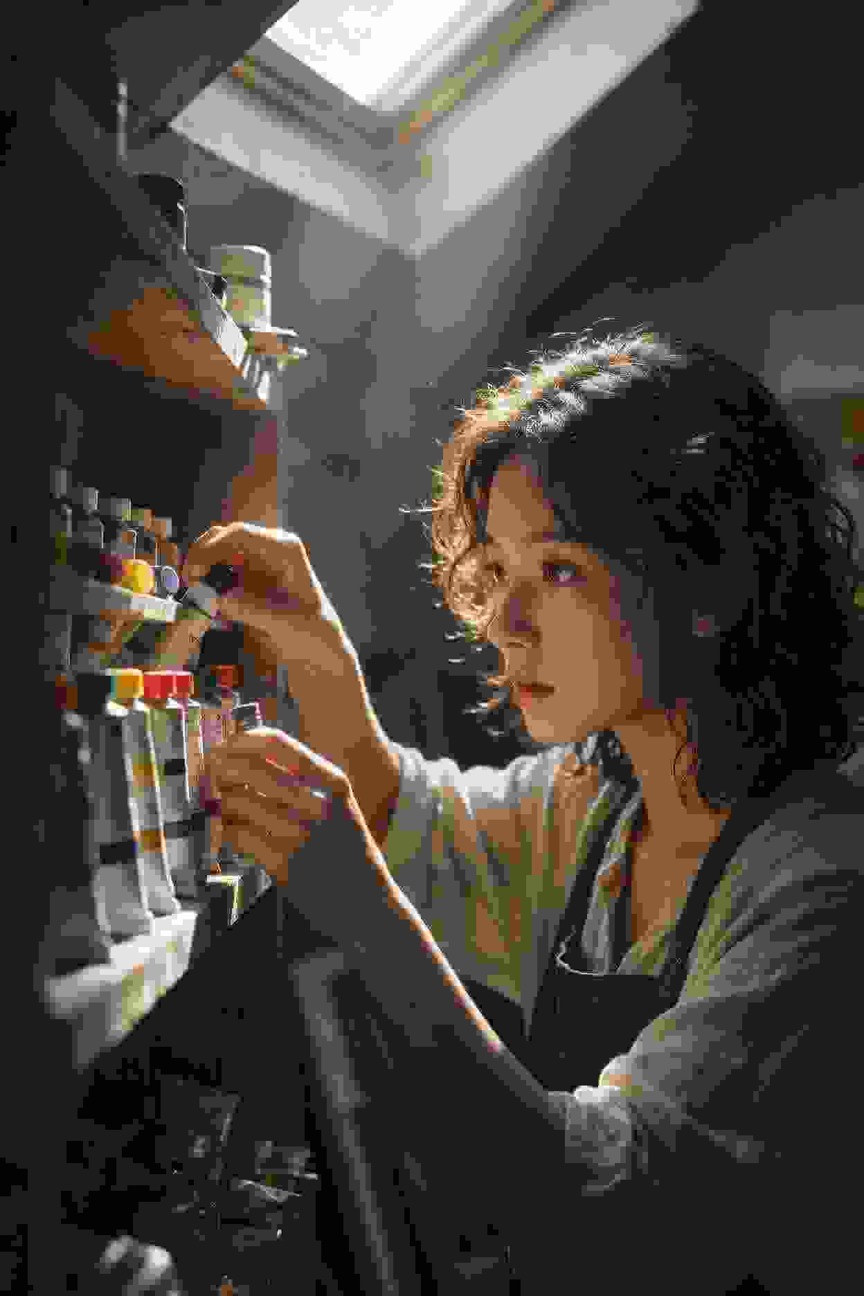 新作品